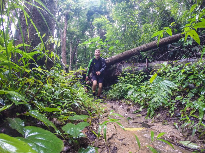 Chiang Mai: 7-Hour Doi Suthep National Park Summit Hiking - What the $60 price really covers