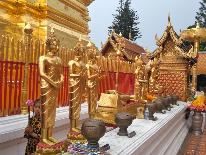 Chiang Mai: 7-Hour Doi Suthep National Park Summit Hiking - How to prepare for this particular hike
