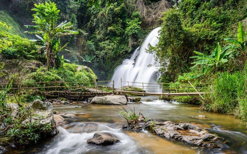Chiang Mai: Doi Inthanon National Park and Pha Dok Siew Trek - Why this mountain day works so well from Chiang Mai