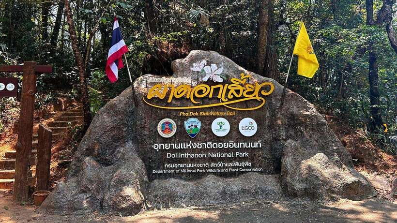 Chiang Mai: Doi Inthanon National Park and Pha Dok Siew Trek - The first café stop breaks up the morning drive