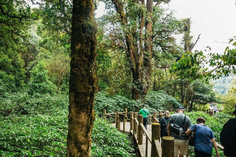 Chiang Mai: Doi Inthanon National Park Eco-Friendly Tour - The ride from Chiang Mai to the mountain
