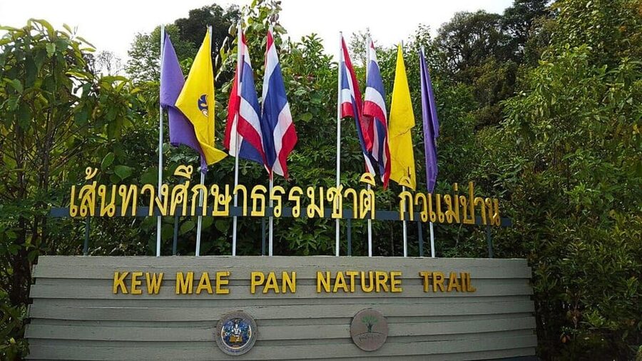 Chiang Mai:Doi Inthanon National Park & Hike at Kew Mae Pan - Who should book this Doi Inthanon day trip?