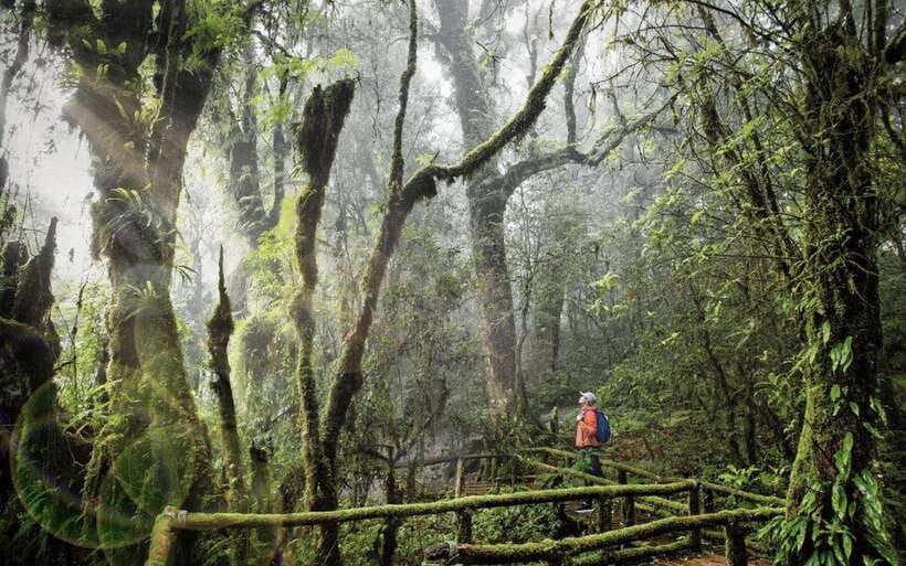 Chiang Mai: Doi Inthanon National Park Sightseeing Only - Why Doi Inthanon makes a good day from Chiang Mai