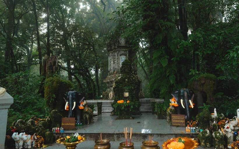 Chiang Mai: Doi Inthanon National Park Sightseeing Only - Sirithan and Wachirathan waterfalls