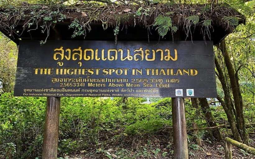Chiang Mai: Doi Inthanon National Park Sightseeing Only - Lunch at a local restaurant