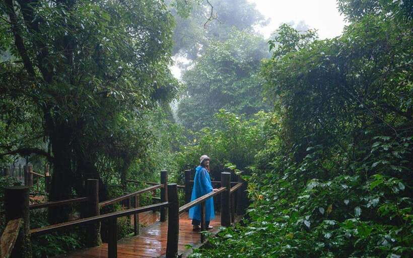 Chiang Mai: Doi Inthanon National Park Sightseeing Only - Transport, timing, and the real cost of the day