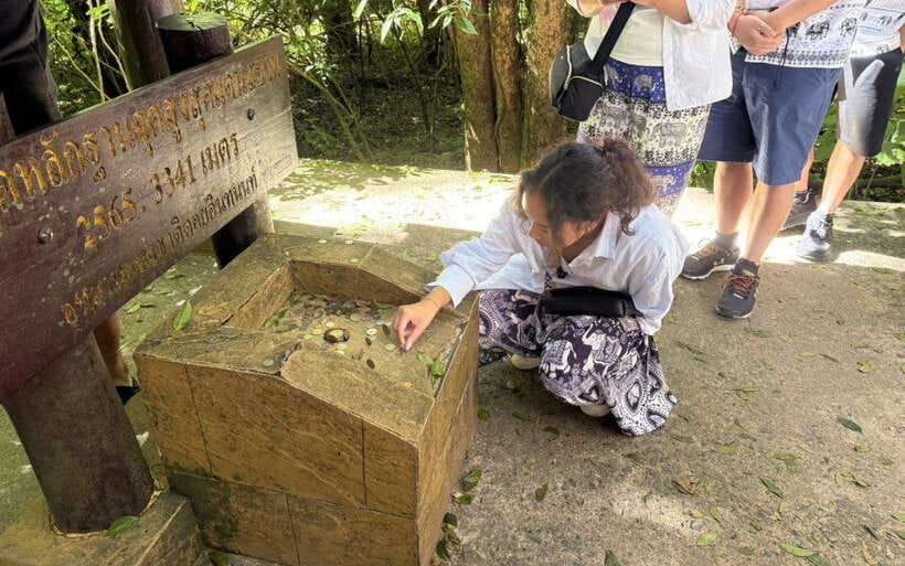 Chiang Mai: Doi Inthanon National Park Sightseeing Only - Who should book this Doi Inthanon trip?