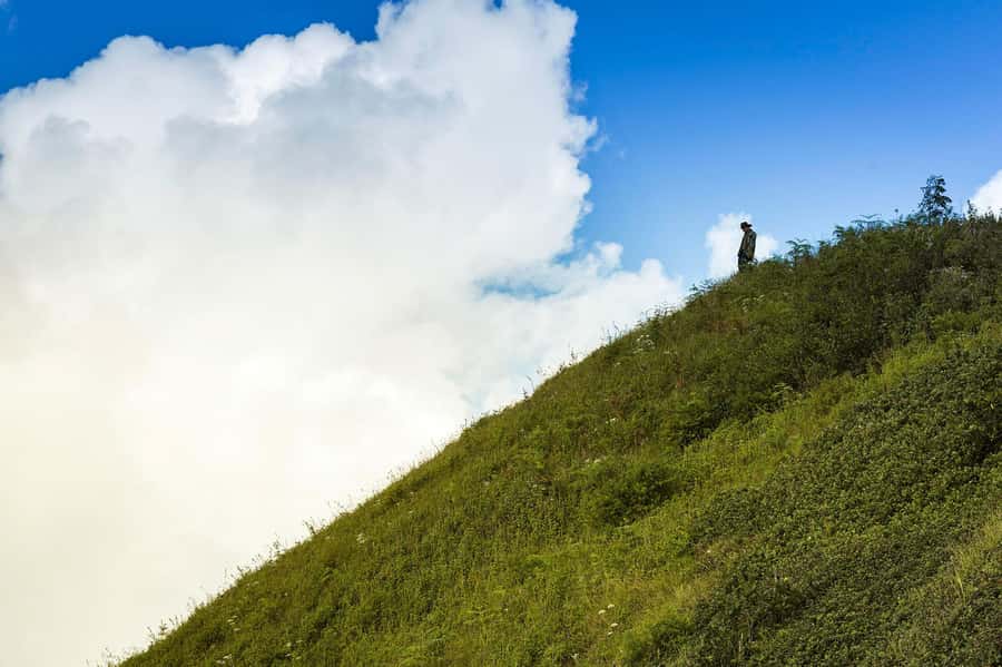Chiang Mai: Doi Inthanon National Park, Waterfall & Lunch - Is the price good value?