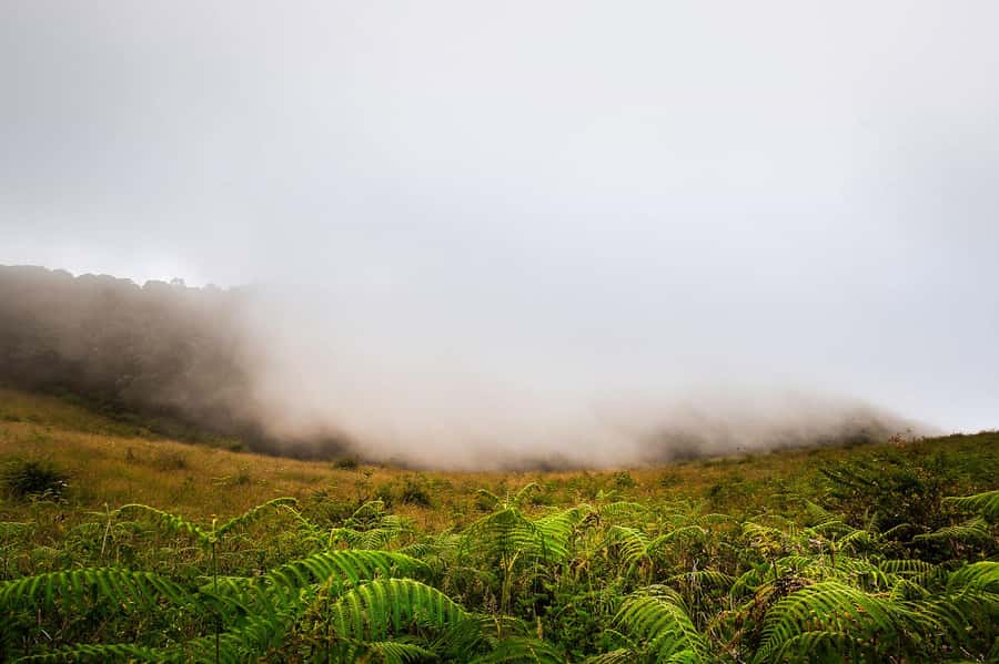 Chiang Mai: Doi Inthanon National Park, Waterfall & Lunch - Wachirathan Waterfall and the first big reward