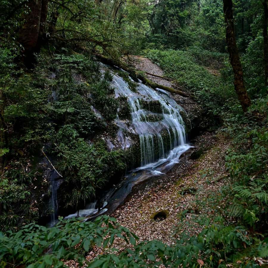Chiang Mai: Doi Inthanon National Park, Waterfall & Lunch - A Karen village and lunch in the hills