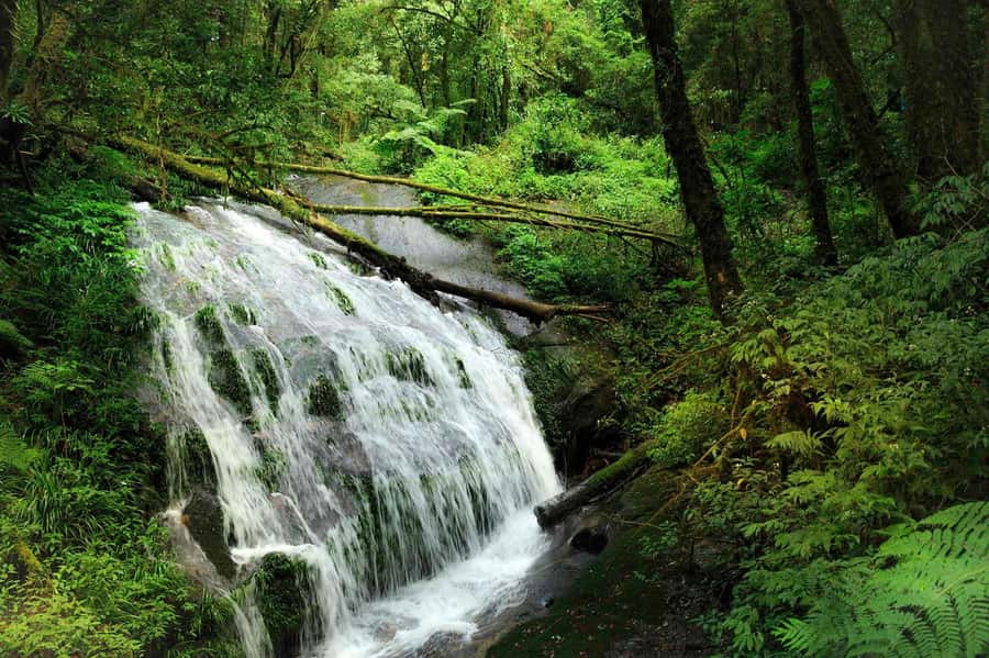 Chiang Mai: Doi Inthanon National Park, Waterfall & Lunch - The long ride from Chiang Mai
