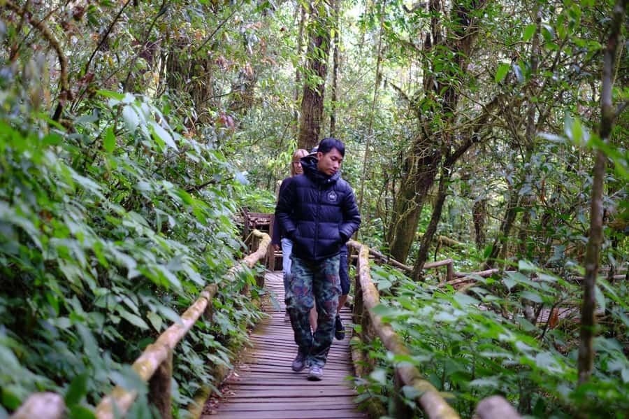 Chiang Mai: Doi Inthanon National Park with Ticket & Lunch - Fresh Produce at the Hmong Market