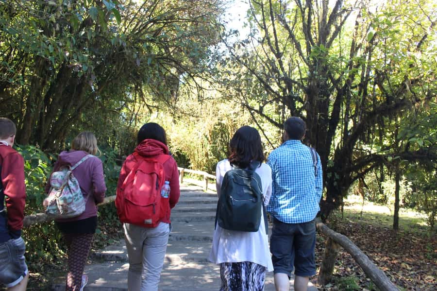 Chiang Mai: Doi Inthanon National Park with Ticket & Lunch - What the $80 Price Really Covers