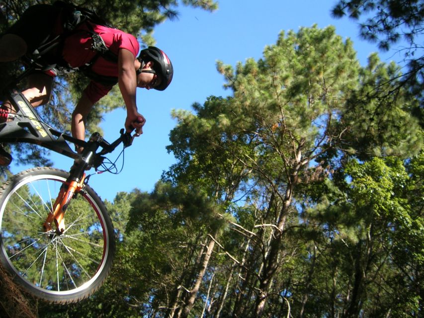Chiang Mai: Doi Suthep National Park Leisure Hiking & Biking - Who should book this Doi Suthep experience?