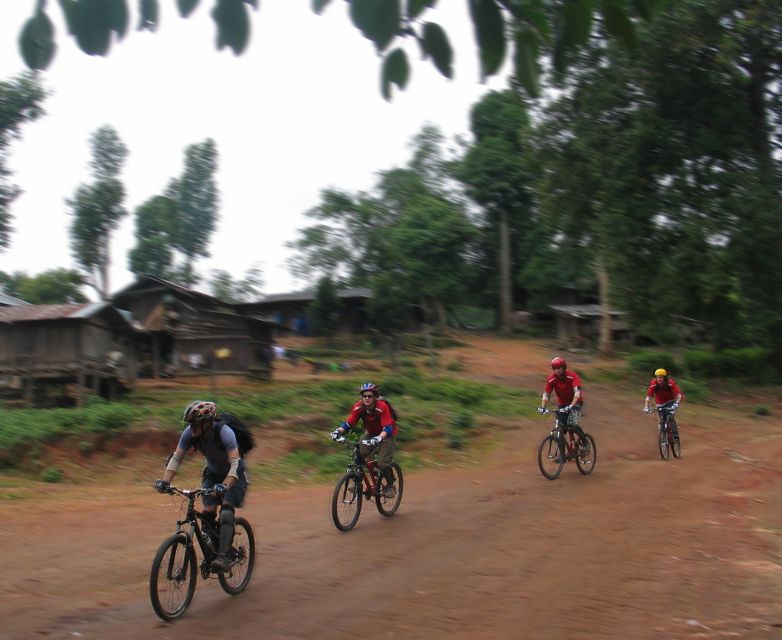 Chiang Mai: Doi Suthep National Park Leisure Hiking & Biking - What the $60 price covers
