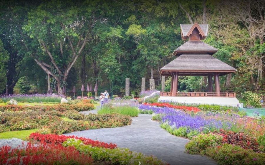Chiang Mai: Doi Suthep National Park Leisure Hiking & Biking - Group size, pace, and physical demands