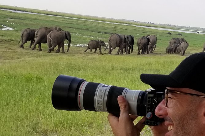 Chobe Day Trip from Victoria Falls, Zimbabwe - The afternoon game drive in Chobe National Park