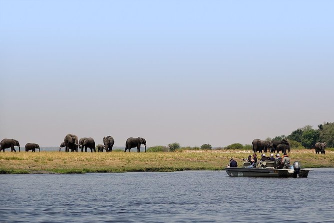 Chobe Full Day Trip From Victoria Falls - Why Chobe works as a day trip from Victoria Falls