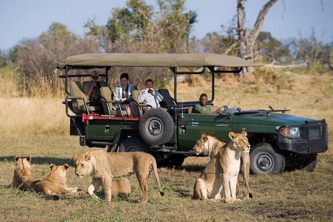 Chobe Full Day Trip From Victoria Falls - Buffet lunch gives the day a needed pause