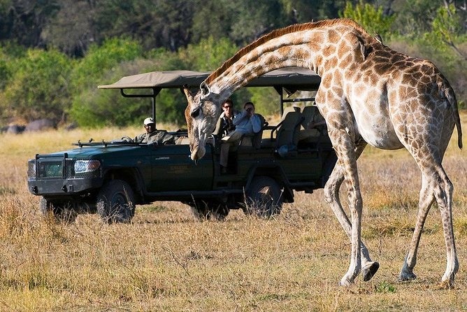 Chobe Full Day Trip From Victoria Falls - The Chobe River cruise is often the day’s highlight