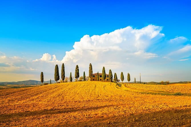 Cinque Terre and Pisa Full Day Tour from Florence - The physical effort and daily rhythm