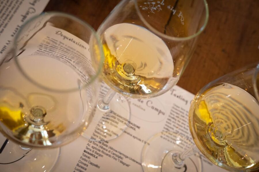 Cinque Terre: Wine Tasting and Walking Tour - Three white wines from different local cellars