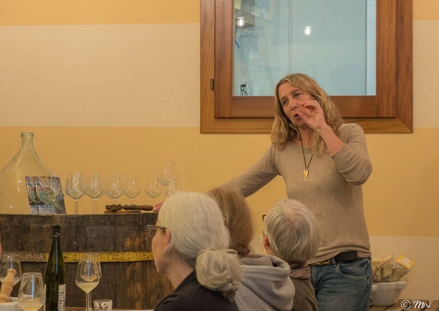 Cinque Terre: Wine Tasting and Walking Tour - My take on the value