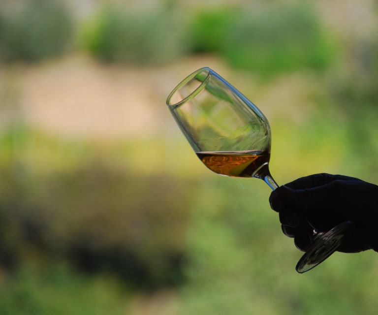 Cinque Terre: Wine Tasting in Monterosso - Three wines, three sides of Cinque Terre