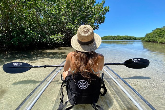 Clear Kayak Tour of Shell Key Preserve and Tampa Bay Area - Clear Kayaking at a Glance