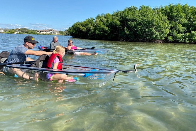 Clear Kayak Tour of Shell Key Preserve and Tampa Bay Area - Shell Key’s Beach and Sandbars