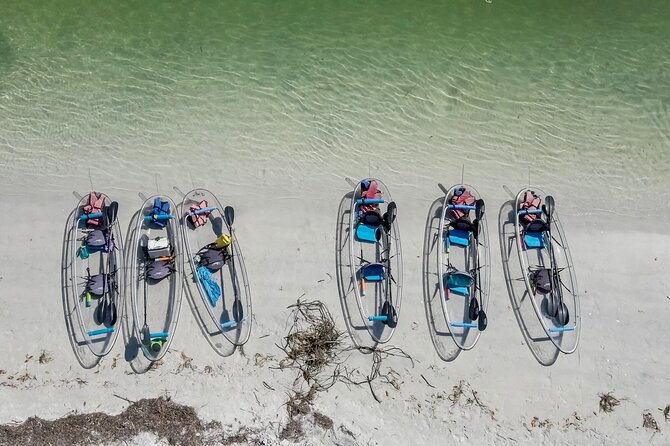 Clear Kayak Tour of Shell Key Preserve and Tampa Bay Area - Is the $79 Price Fair?