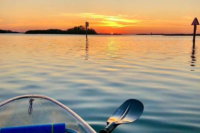 Clear Kayak Tour of Shell Key Preserve and Tampa Bay Area - Who Will Enjoy This Tour Most