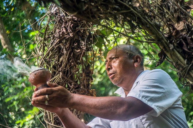 Coba Ruins, Punta Laguna Nature Reserve, Cenote and Mayan family - Pickup details can affect the whole day