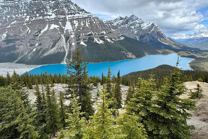 Columbia Icefield, Crowfoot Glacier and Bow ,Peyto Lake Tour - Peyto Lake rewards the short uphill walk