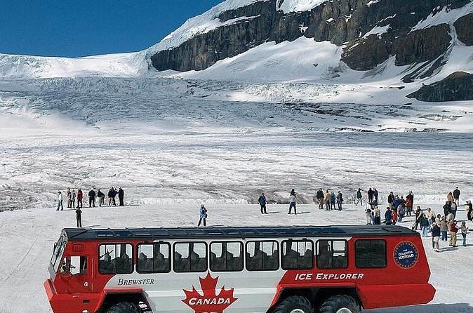 Columbia Icefield,Peyto Lake,Bow Lake Day Trip from Banff/Calgary - Peyto Lake brings the famous viewpoint