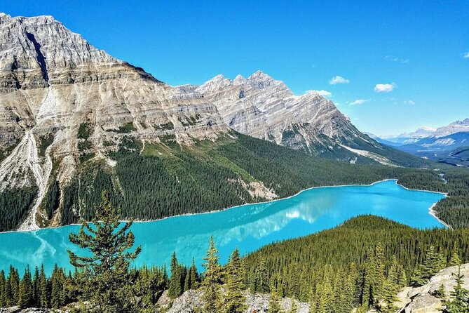 Columbia Icefield,Peyto Lake,Bow Lake Day Trip from Banff/Calgary - Athabasca Glacier and the Ice Explorer
