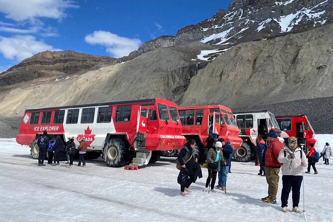 Columbia Icefield Peyto Lake Bow Lake from Calgary Canmore Banff - Key points to know before booking