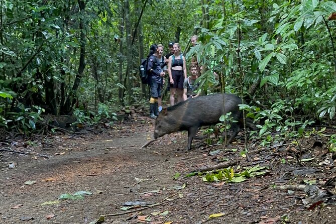 Corcovado National Park: Sirena Day Tour From Puerto Jimenez - What the $190 price really covers