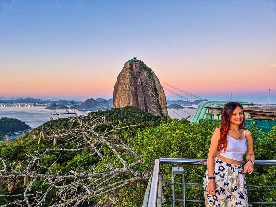 Corcovado, Sugarloaf Mountain, and Selarón Steps 6-Hour Tour - Is $146 a fair price for the experience?