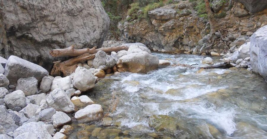 Crete: Samaria Gorge Hiking with transfer and expert Escort - What the guide adds to a self-guided hike