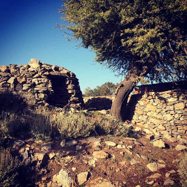 Crete: White Mountains Preserve Day Tour - From Chania’s coast to the foothills