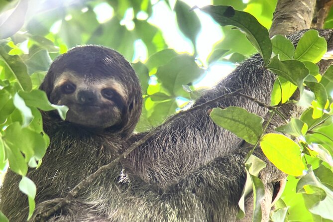 Customized Nature Walk in Manuel Antonio National Park - Key points to know before booking