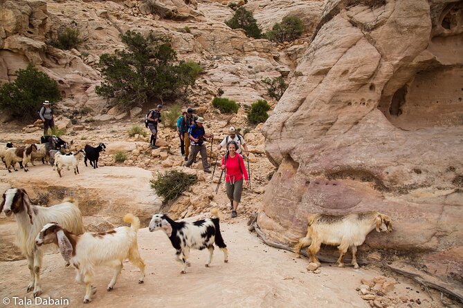 Dana to Petra Trek + Wadi Rum & the Dead Sea - 9 Days - What this nine-day Jordan trip actually feels like