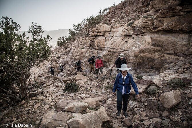 Dana to Petra Trek + Wadi Rum & the Dead Sea - 9 Days - Days 2 through 4 cross Dana’s wild side