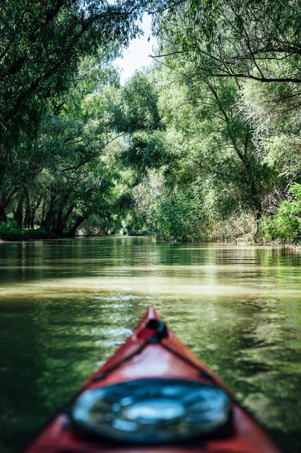 Danube Delta: Boat Tour Through the Water Lily Reserve - Booking and Cancellation Details