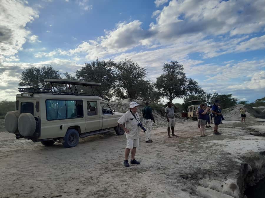 Dar es Salaam: Mikumi National Park Day Trip with Train Ride - What you may see in Mikumi