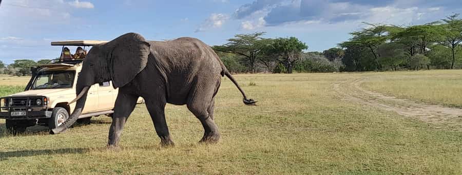 Dar es Salaam: Mikumi National Park Day Trip with Train Ride - Mikumi National Park and the 4.5-hour game drive