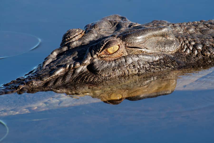 Darwin: Kakadu National Park Day Trip - Key points to know before you book