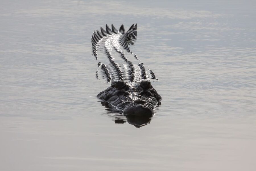 Darwin: Kakadu National Park Day Trip - Who should book this Kakadu day trip