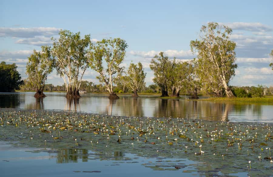 Darwin: Kakadu National Park Day Trip - Check-in at Kakadu Air Terminal